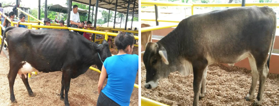353.png